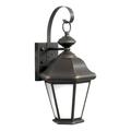 Forte One Light Royal Bronze Frosted Seeded Panels Glass Wall Lantern 10006-01-14